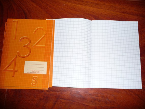 lot 57 cahier orange petit carreaux format A5 6€