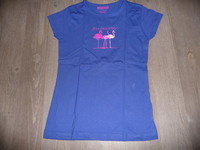 t-shirt flamand rose in extenso 10 ans 3€ neuf
