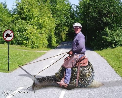 Téléchargement gratuit Images Photos Droles Insolites L 1 Images Droles Et Insolites Mangas le plus cool salutations