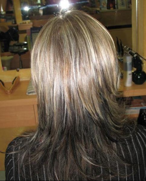 Urgent Recherche Photo Vue De Dos Coiffure Et Coloration