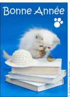 2948-Bonne annee du chaton sur un livre_maxi