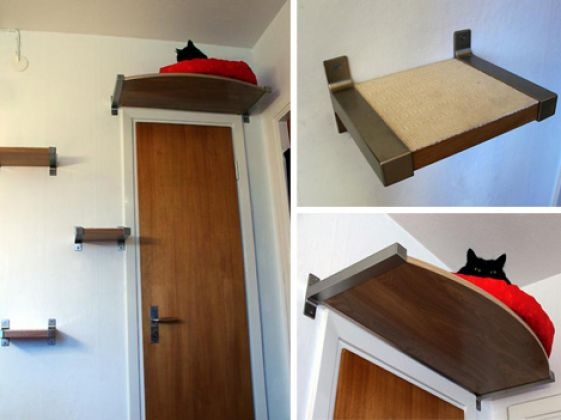 Demenagement En Appartement 4 Chats Chats Forum Animaux Doctissimo Demenagement En Appartement 4 Chats Chats Forum Animaux Doctissimo