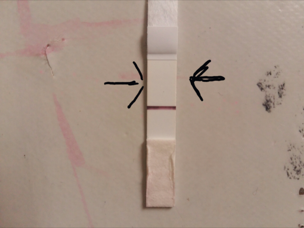 A Quoi Ressemble Une Barre Devaporation Barre d èvaporation? - Tests et symptômes de grossesse - FORUM