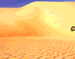 chameau-desert