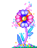 fleurs (7)