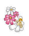 fleurs (6)
