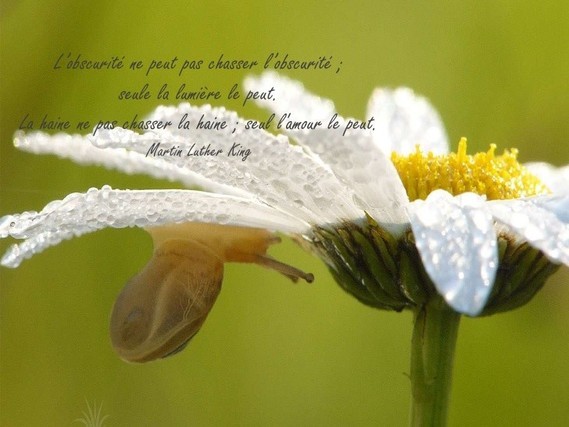 Belles Photos Sur La Nature Citations Sur Le Bonheur 5 728 Marie1 Noisette Photos Club Doctissimo Belles Photos Sur La Nature Citations Sur Le Bonheur 5 728 Marie1 Noisette Photos Club Doctissimo