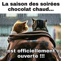 chocolat-chaud-chat-hiver-humour