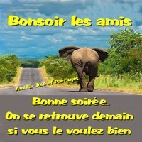 bonsoir_025