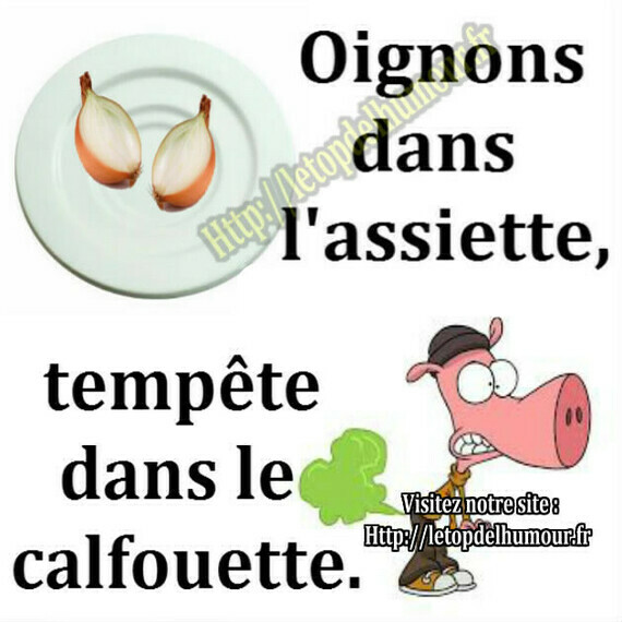 oignon-assiette-calecon-tempete-cochon-pet-humour-