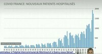 patients covid hospitalisés par jour