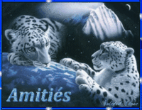 Amitiés Deux léopards