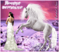 Bonne semaine Cheval blanc-360x320