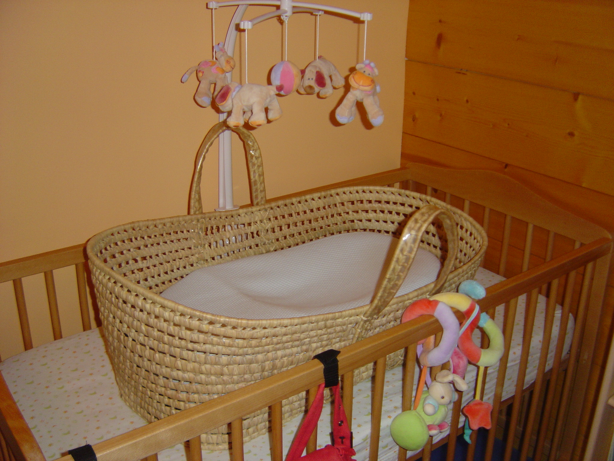 Cocoonababy dans couffin Clearance