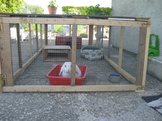 Enclos Pour Lapin Fait Maison