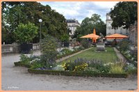 Jardin public et orange