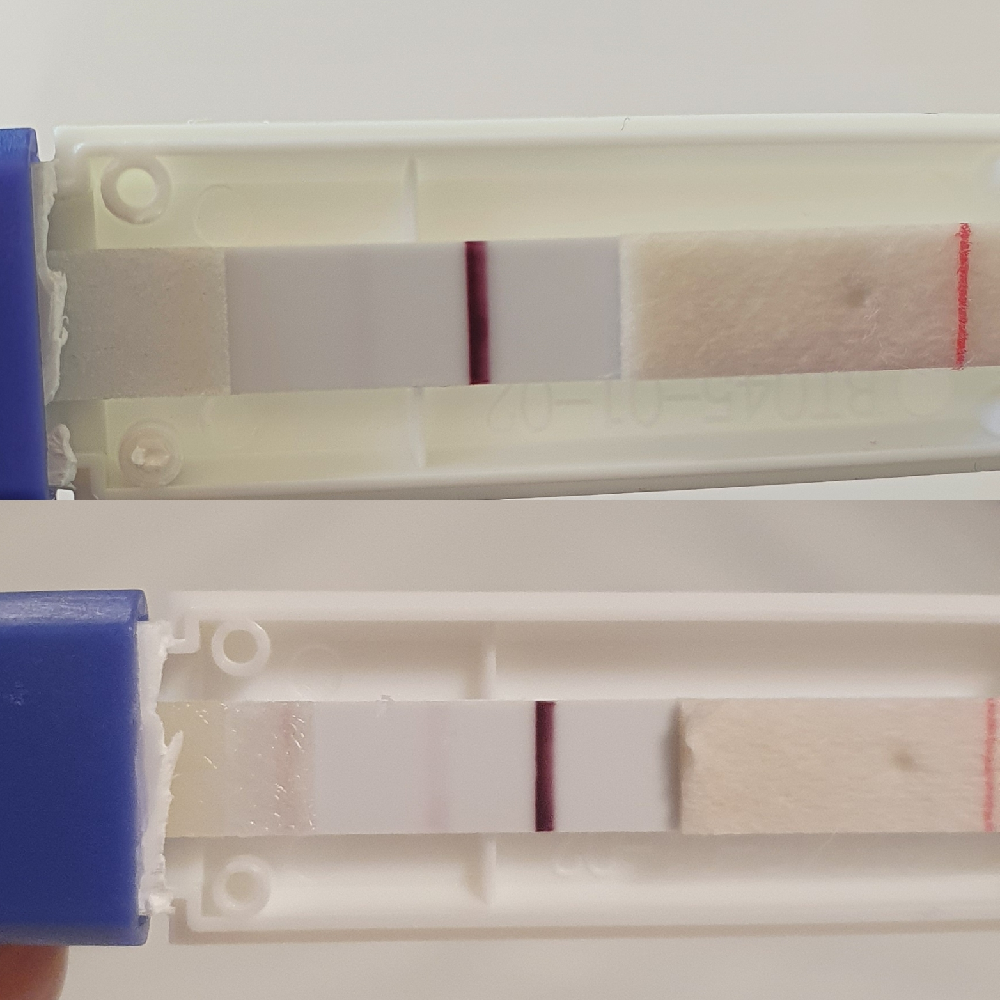 12 jours post ovitrelle positif Tests et symptômes de grossesse FORUM Grossesse & bébé