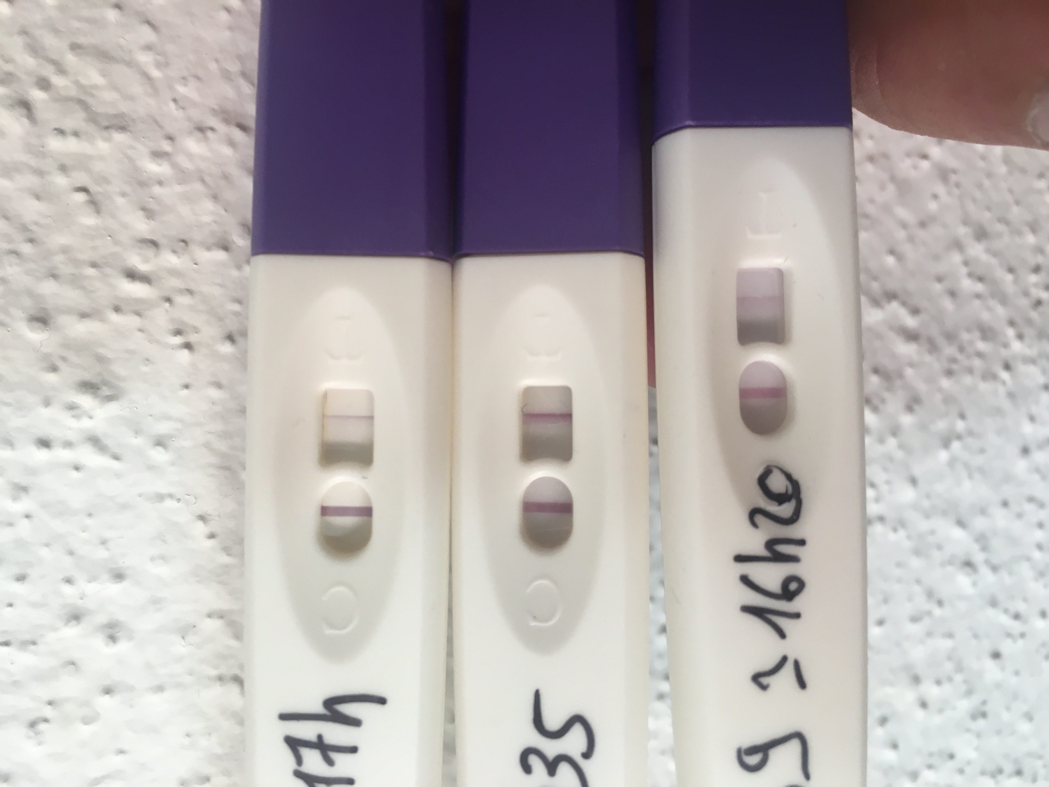 Les Futures Mamans Desir D Enfant Forum Grossesse Amp Bebe Doctissimo