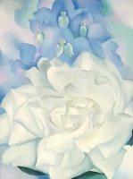 white-rose-with-larkspur-georgia-okeefe1