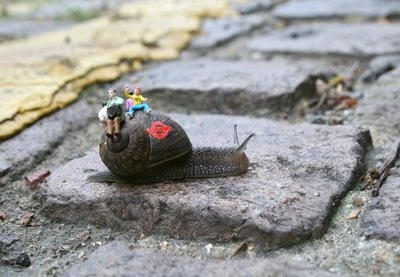 snail+bus+1+-+blog