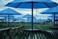 The umbrellas Japan