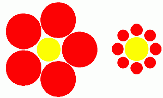 De ces deux cercles centraux, en jaune, lequel a le plus grand diamètre ?