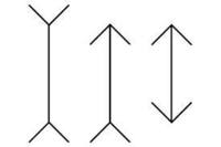 De ces lignes droites, laquelle est la plus longue ? Laquelle est la plus courte ?