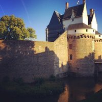 Chateau des Ducs