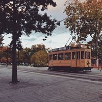 Tram ( vintage)