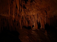 Grottes de la cocalière