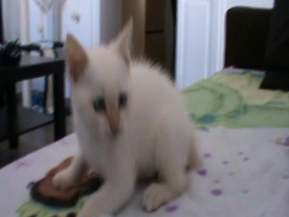 Est Ce Un Jeu Pour Elle