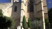Avignon, Vaucluse, Provence-Alpes-Côte d'Azur, France [HD] (videoturysta)