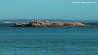 Le Lavandou - The Coast, French Riviera, France [HD] (videoturysta)