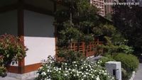 Monaco, Japanese Garden (Jardin Japonais) [HD] (videoturysta)