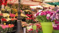 Nice - Cours Saleya Flower Market (Marché aux Fleurs), French Riviera, France [HD] (videoturysta)