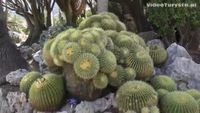 Monaco, Exotic Garden (Jardin Exotique) [HD] (videoturysta)
