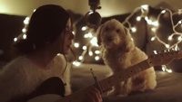Christmas Time Is Here - Daniela Andrade ft- Cutest Dog in the Galaxy