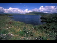 Michel Sardou - les lacs du Connemara