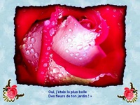 Françoise Hardy - Mon amie la rose