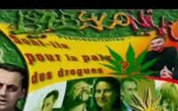 Babylonik - Mix Legalisation du Cannabis (480 x 360)
