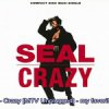Seal  - Crazy